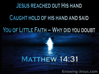 Matthew 14:31 You Of Little Faith Why Did You Doubt (navy)